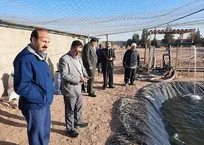 اشکذر؛ پیشکسوت موفق پرورش ماهی قزل‌آلا در دانشگاه آزاد