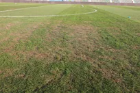 اعتراض پرسپولیس و آلومینیوم به کیفیت زمین شهر قدس/ خوش و بش سلمانی و هوشمند پیش از آغاز بازی +عکس