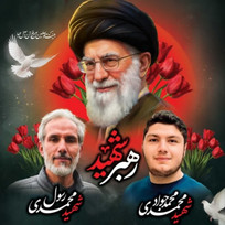 دانشگاه آزاد همدان به نام دانشجوی &laquo;شهید محمد جواد محمدی&raquo; مزین می&zwnj;شود