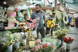 بازار گل محلاتی