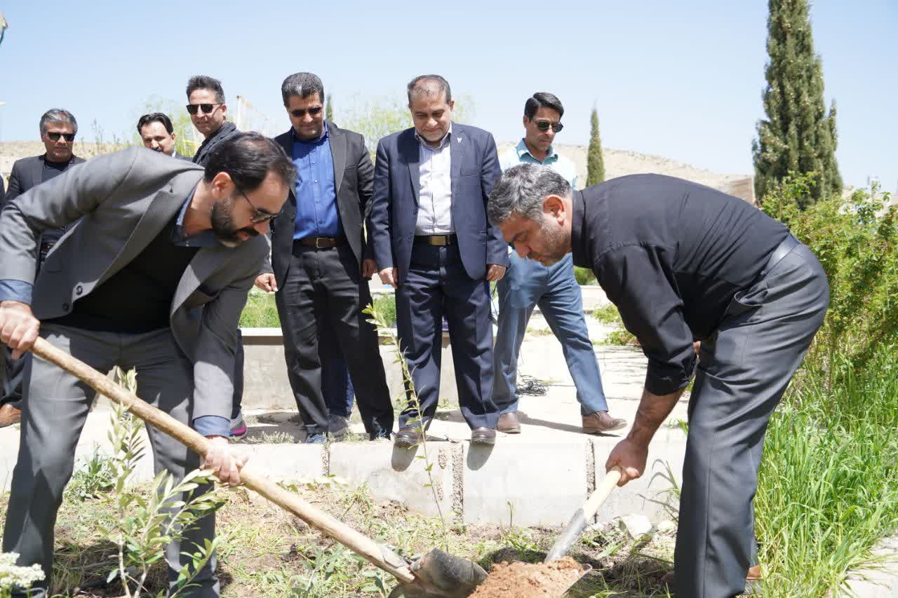 کاشت نهال، تجلی احترام به شهدا و ترویج فرهنگ طبیعتدوستی کاشت نهال، تجلی احترام به شهدا و ترویج فرهنگ طبیعتدوستی