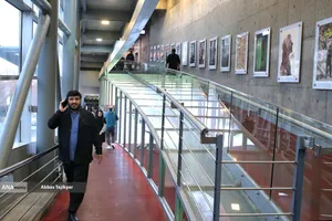 محمدمهدی خیرجو مدیرعامل خبرگزاری آنا