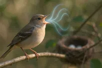 آوای جهانی پرندگان در برابر دشمن مشترک