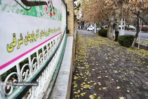 آخر أيام الخريف في تبريز خلال الخريف ، تفقد العديد من النباتات أوراقها