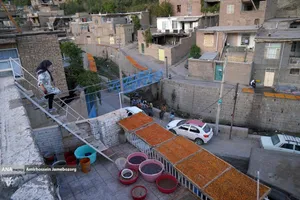 خُرو؛ پایتخت آلوی ایران