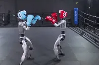 ربو بوکسورها در هانگژو چین قدرت نمایی کردند + فیلم