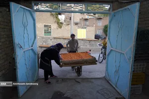 خُرو؛ پایتخت آلوی ایران