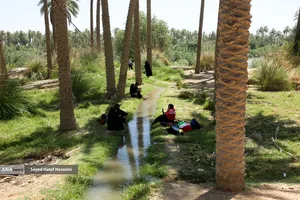 شور اربعین