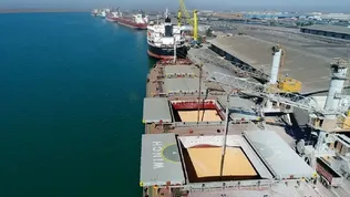 جراحی اقتصادی؛ تنبیه تجار و تشویق متخلفان/ چرا واردکنندگان نهاده‌های دامی باید فروشنده نفت شوند؟