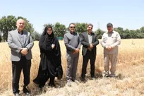 پیشتازی دانشگاه آزاد اسلامشهر در تأمین امنیت غذایی