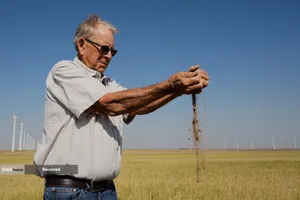 آسیب مزارع گندم آمریکا بدلیل خشکسالی