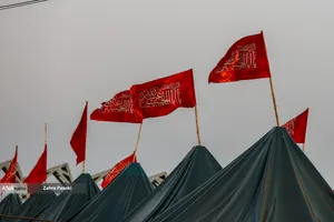 عطر سیب