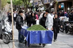 نبض زندگی در جنگ