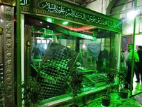 برگزیدگان کنگره ملی شعر سبز قبا معرفی شدند