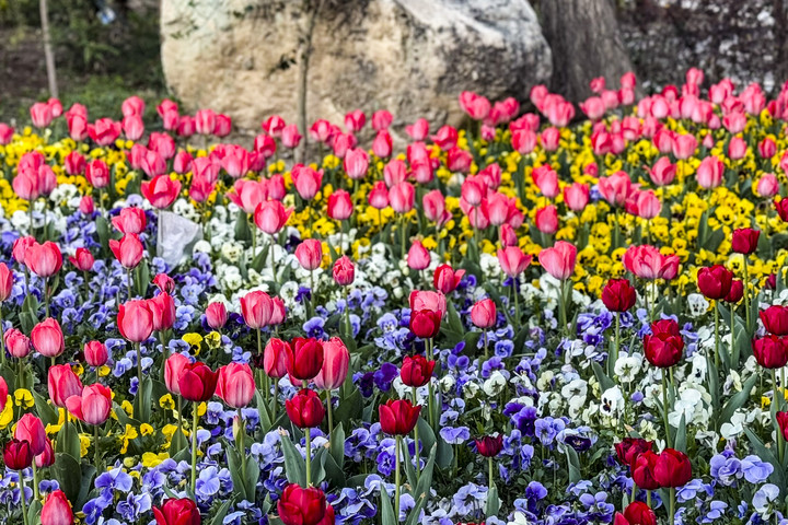 تهران بدون دود