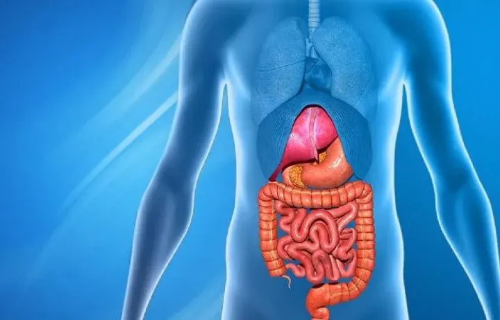 How stress and anxiety can affect the digestive system