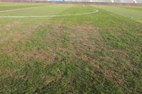 واکنش مدیرکل ورزش استان تهران به افت کیفیت زمین چمن ورزشگاه شهر قدس