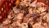 کشف و معدوم‌سازی ۲.۴ تن اسکلت مرغ غیرمجاز در قم