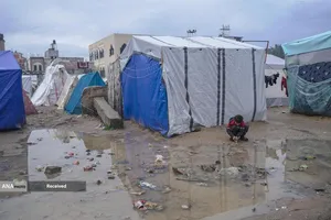 شهرک نشینان صهیونیست مسیر کامیون&zwnj;های حامل آرد به نوار غزه را بستند