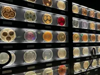 تماشای دنیای پنهان میکروارگانیسم‌ها در موزه میکروب‌ها