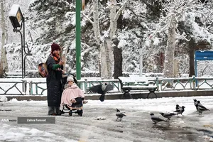بارش برف زمستانی در تهران 