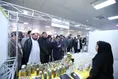 نمایشگاه بهار فرهنگی