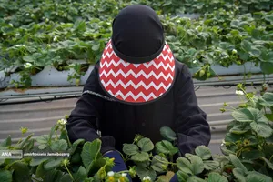 تولید ملی برای آبادانی مناطق محروم