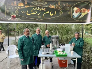 فعالیت خادمیاران و یاوران رضوی منطقه دارالمومنین تهران 