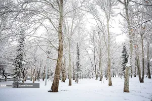 بارش برف زمستانی در تهران 