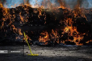 امحای ۲۰ تن مواد مخدر در تهران