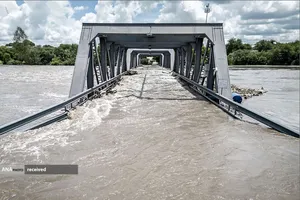 سیل در آفریقای جنوبی