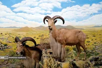 موزه تنوع زیستی پردیسان تهران