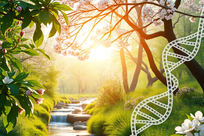 تغییرات فصلی، بعضی ژن&zwnj;ها را فعال می&zwnj;کند