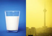 آلودگی هوا و رژیم غذایی؛ آنچه مطالعات علمی روشن می‌کند!