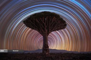 جزیره سقطری در مجموع جزایری در غرب اقیانوس هند