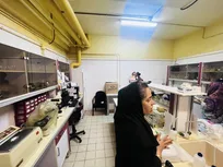 مرمت آثار کاغذی موزه ملک با هدف حفظ اصالت آثار صورت می‌گیرد