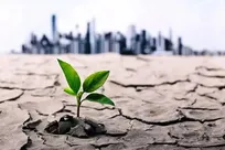 آیا پایتخت‌نشینان باید منتظر جیره‌بندی آب باشند؟/ هشدار درباره «روز صفر» در پی پنجمین سال خشکسالی