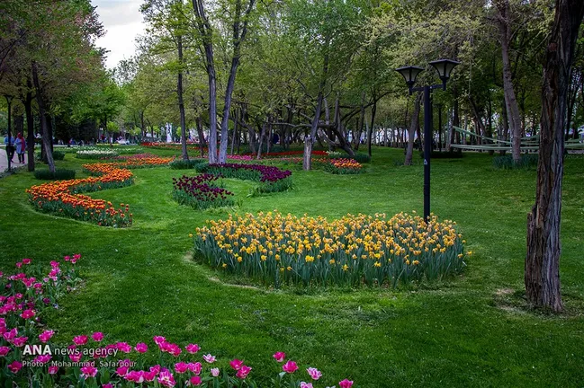 فضای سبز تهران باید بر پایه مطالعات علمی و هوشمندسازی مدیریت شود/ انتخاب گونه‌های گیاهی متناسب با اقلیم هر منطقه