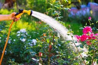 ۳ برنامه که برای نگهداری و مراقبت از گیاهان احتیاج دارید