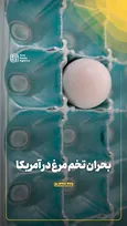 بحران تخم مرغ در آمریکا