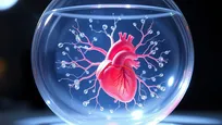 چگونه زیست‌فناوری ساخت قلب و ریه را ممکن کرد
