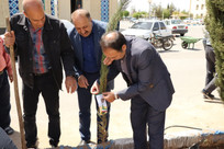 غرس نمادین نهال امید در دانشگاه آزاد یزد در اجرای توصیه رهبر معظم انقلاب