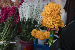 تداوم زندگی در شرایط جنگی