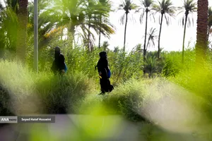 پیاده روی زائرین اربعین حسینی از طریق العلما