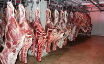 واردات گوشت تحت سخت‌گیرانه‌ترین نظارت‌های بهداشتی انجام می‌شود