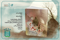 &laquo;دید یا ندید؟&raquo; منتشر شد