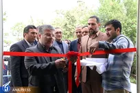 نمایشگاه مشاغل دانشگاه آزاد میانه با ۱۳ غرفه گشایش یافت