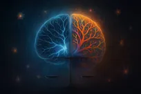 پشت پرده ژنتیکی اوتیسم و اسکیزوفرنی در تکامل مغز انسان