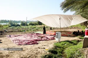 پیاده روی زائرین اربعین حسینی