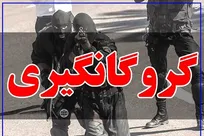 گروگانگیری در خیابان ولیعصر تهران+ فیلم